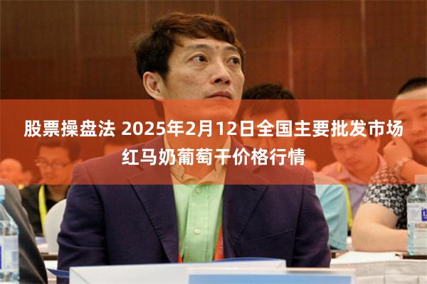 股票操盘法 2025年2月12日全国主要批发市场红马奶葡萄干价格行情