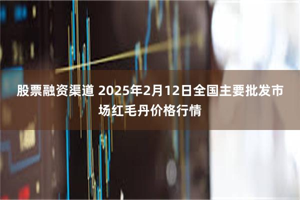 股票融资渠道 2025年2月12日全国主要批发市场红毛丹价格行情