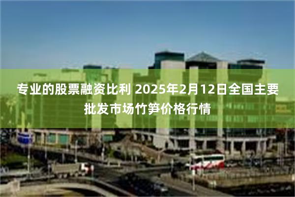 专业的股票融资比利 2025年2月12日全国主要批发市场竹笋价格行情