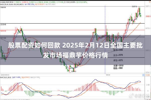 股票配资如何回款 2025年2月12日全国主要批发市场福鼎芋价格行情