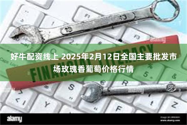 好牛配资线上 2025年2月12日全国主要批发市场玫瑰香葡萄价格行情