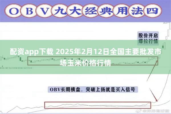 配资app下载 2025年2月12日全国主要批发市场玉米价格行情