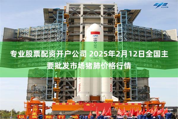 专业股票配资开户公司 2025年2月12日全国主要批发市场猪肺价格行情