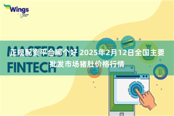 正规配资平台哪个好 2025年2月12日全国主要批发市场猪肚价格行情