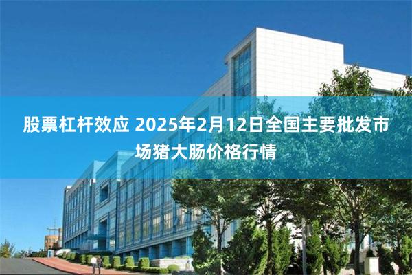 股票杠杆效应 2025年2月12日全国主要批发市场猪大肠价格行情