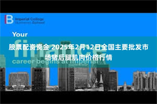 股票配资资金 2025年2月12日全国主要批发市场猪后腿肌肉价格行情