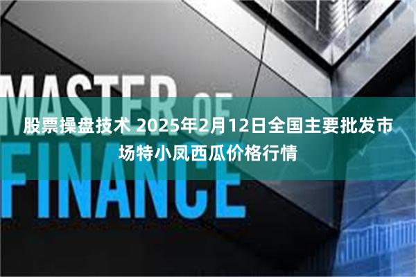 股票操盘技术 2025年2月12日全国主要批发市场特小凤西瓜价格行情