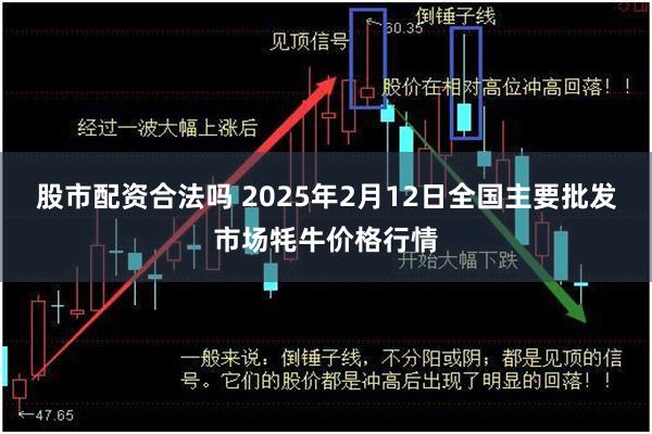 股市配资合法吗 2025年2月12日全国主要批发市场牦牛价格行情