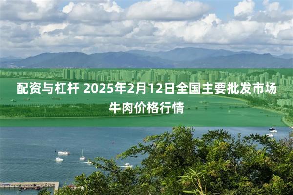 配资与杠杆 2025年2月12日全国主要批发市场牛肉价格行情