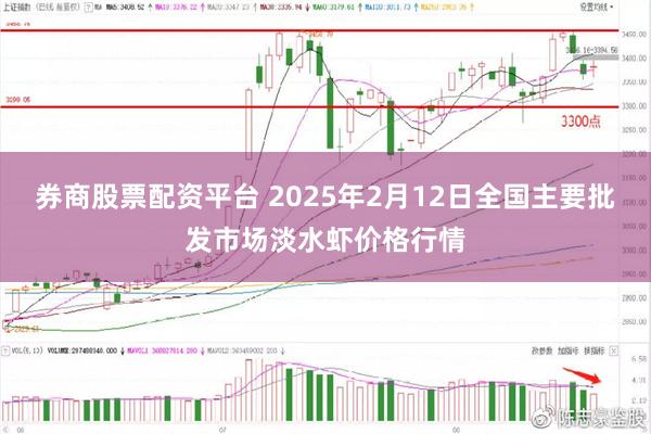 券商股票配资平台 2025年2月12日全国主要批发市场淡水虾价格行情