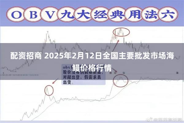 配资招商 2025年2月12日全国主要批发市场海鳗价格行情