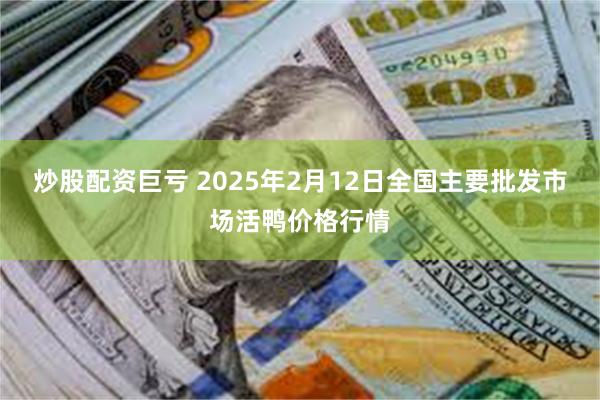 炒股配资巨亏 2025年2月12日全国主要批发市场活鸭价格行情