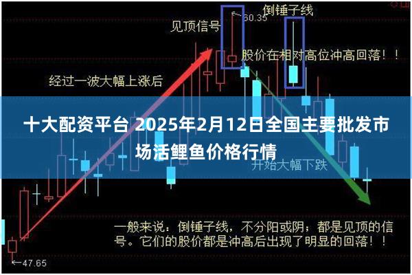 十大配资平台 2025年2月12日全国主要批发市场活鲤鱼价格行情