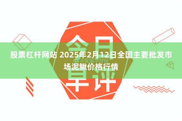 股票杠杆网站 2025年2月12日全国主要批发市场泥鳅价格行情