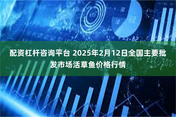 配资杠杆咨询平台 2025年2月12日全国主要批发市场活草鱼价格行情