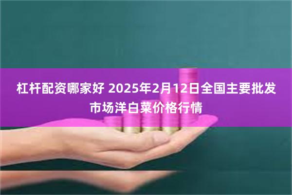 杠杆配资哪家好 2025年2月12日全国主要批发市场洋白菜价格行情