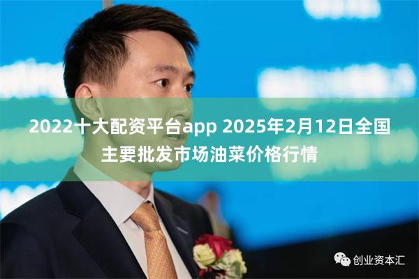 2022十大配资平台app 2025年2月12日全国主要批发市场油菜价格行情