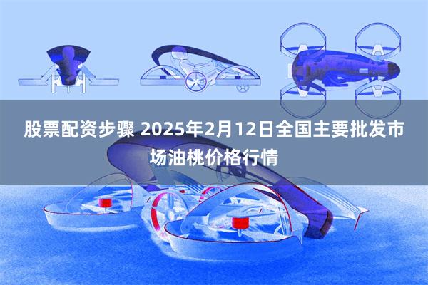 股票配资步骤 2025年2月12日全国主要批发市场油桃价格行情