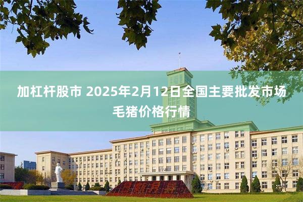 加杠杆股市 2025年2月12日全国主要批发市场毛猪价格行情