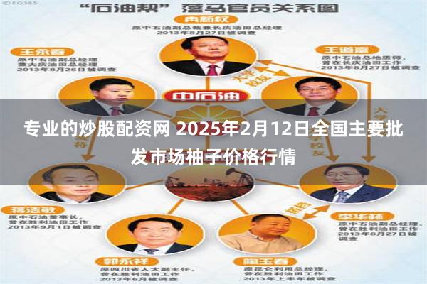 专业的炒股配资网 2025年2月12日全国主要批发市场柚子价格行情