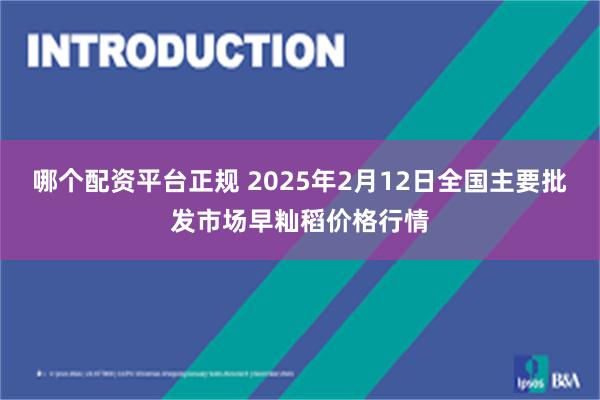 哪个配资平台正规 2025年2月12日全国主要批发市场早籼稻价格行情