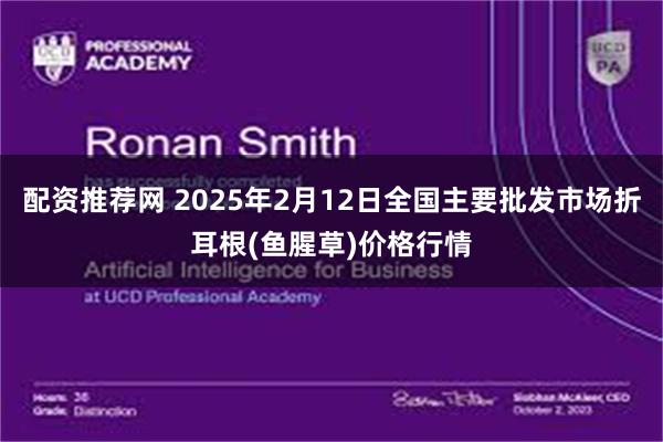 配资推荐网 2025年2月12日全国主要批发市场折耳根(鱼腥草)价格行情