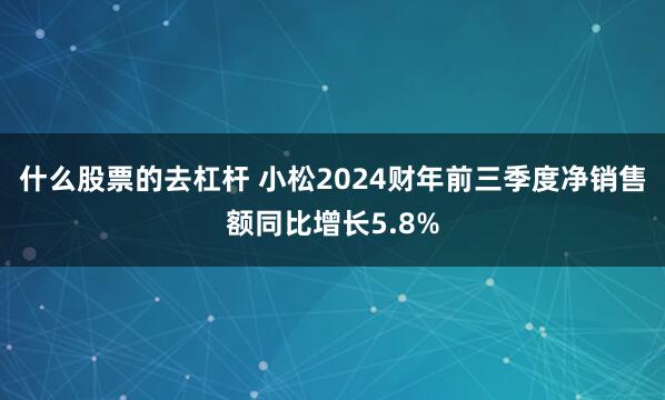 什么股票的去杠杆 小松2024财年前三季度净销售额同比增长5.8%