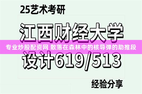 专业炒股配资网 散落在森林中的核导弹的助推段